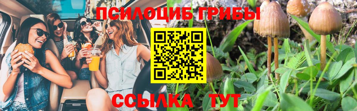 Железногорск  Псилоцибиновые грибы Psilocybine cubensis  Псилоцибиновые грибы Psilocybine cubensis  Вход с VPN 