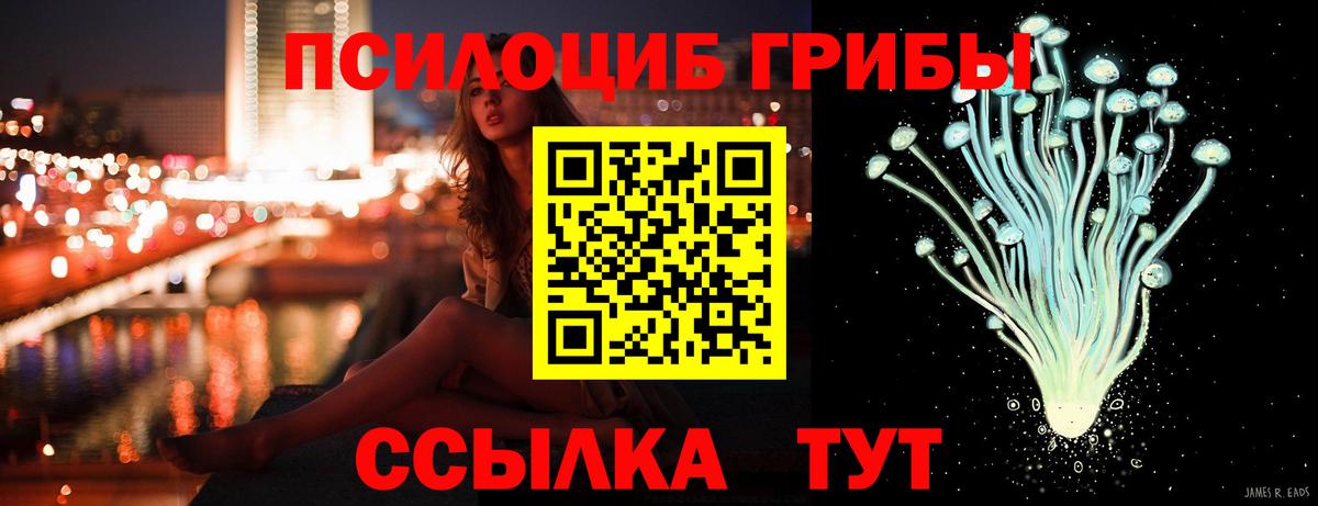 Галлюциногенные грибы Cubensis Железногорск